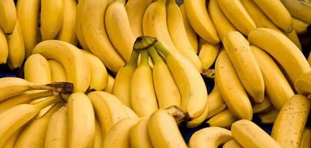 فوائد أكل الموز وأضراره على جسم الإنسان