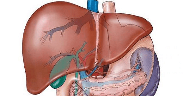 اعراض فيروس الكبد وطرق علاجه والوقاية منه