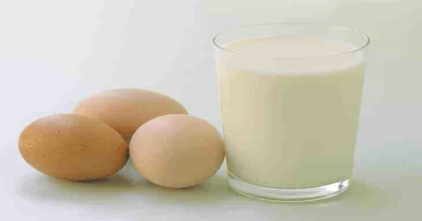 فوائد البيض النيئ باللبن وطريقة عمله بالتفصيل