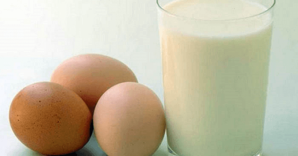 فوائد البيض النيئ باللبن وطريقة عمله بالتفصيل