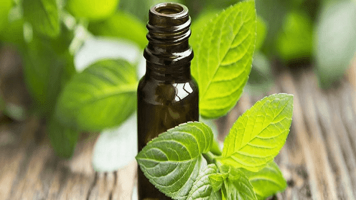 9 وصفات لعلاج برد المعدة والقيء في البيت