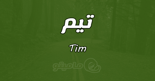 معنى اسم تيم