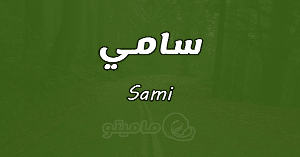 معنى اسم سامي