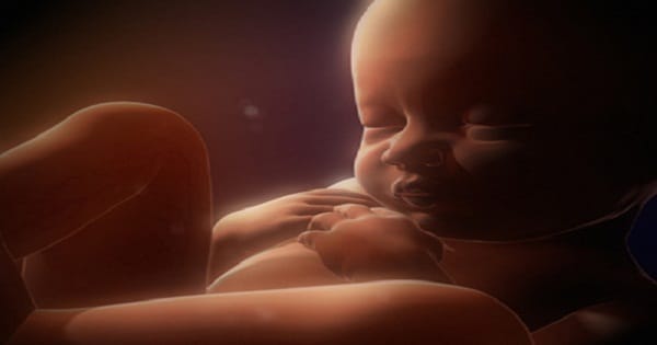 حركة الجنين في الأسبوع الخامس والثلاثين من الحمل وأي شهر ماميتو