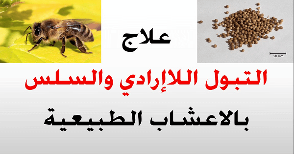 علاج التبول اللاإرادي عند الكبار بالاعشاب الطبيعية