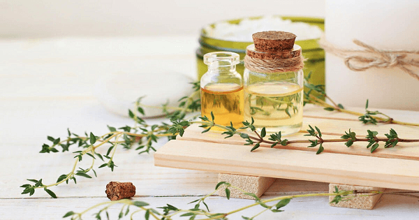 علاج صداع العين بالاعشاب الطبيعية