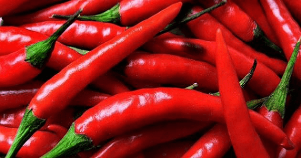 7 اعشاب لعلاج الكحه والبلغم عند الاطفال و الكبار
