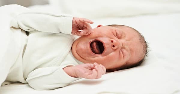 علاج المغص عند الرضع حديثي الولادة بالاعشاب