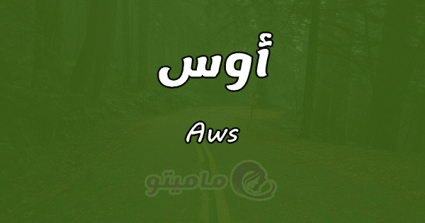 معنى اسم أوس