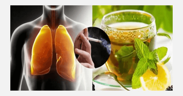 تنظيف الرئتين من اثار التدخين بالحليب والأعشاب
