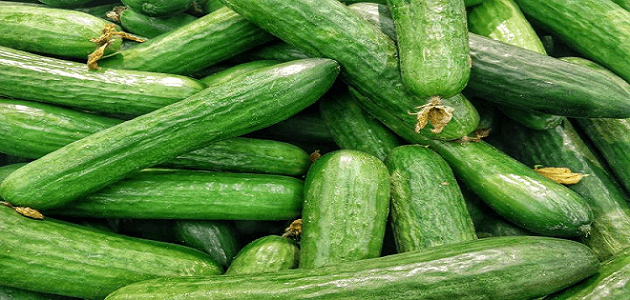 ما هي فوائد الخيار للحامل والجنين