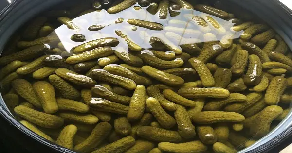 طريقة عمل مخلل الخيار السريع بالصور