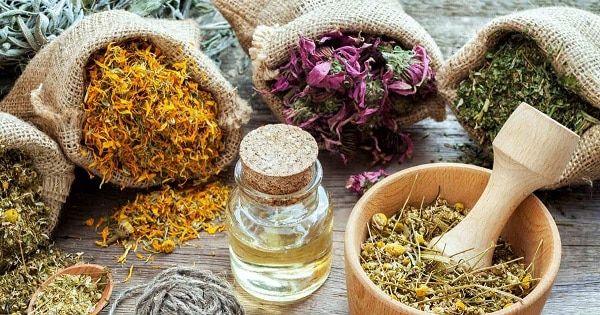 تكبير الثدي بالاعشاب الطبيعية