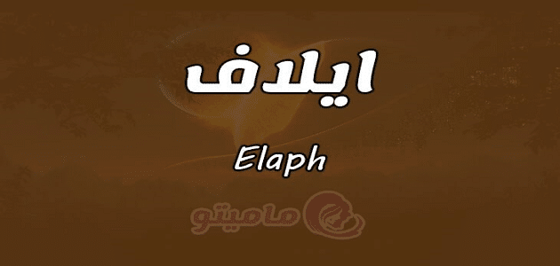 معنى اسم إيلاف