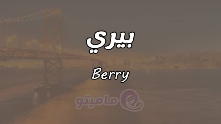 معنى اسم بيرى