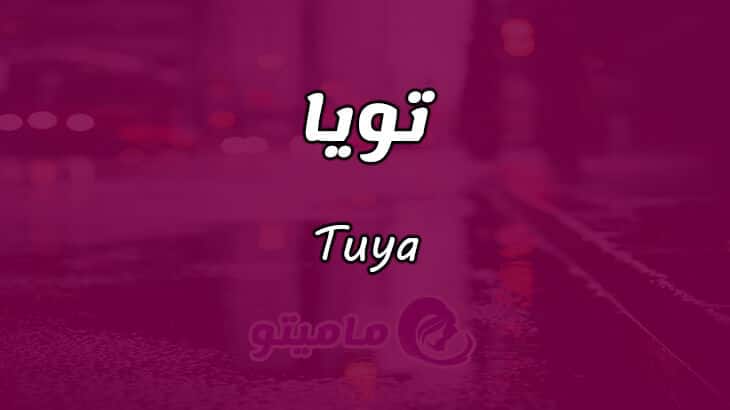 معنى اسم تويا