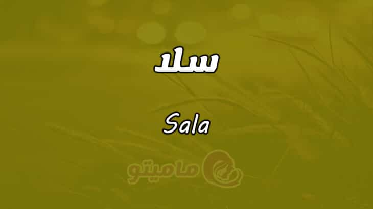 معنى اسم سلا Sala وشخصيتها حسب علم النفس