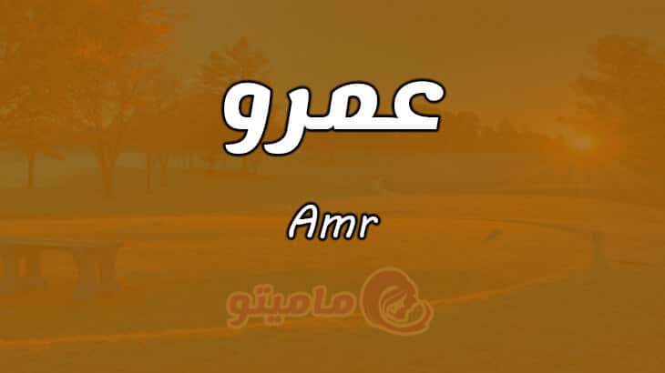 معنى اسم عمرو
