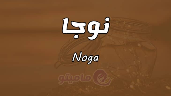 معنى اسم نوجا