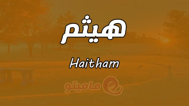 معنى اسم هيثم