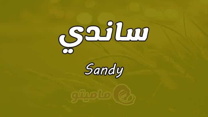 معني اسم ساندي