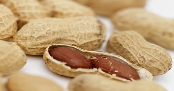 لا تنتهي فوائد الفول السوداني علي فقدان الوزن ولكن يحسين وظائف القلب، ينشط مكافحة السرطان، والحد من مخاطر مرض الزهايمر، وعلى الرغم من ان السعرات الحرارية قادر على السيطرة على نفسه قبل ولا تأخذ سوى