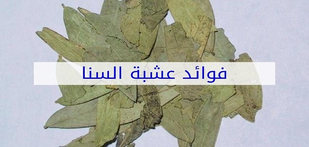 طريقة إستخدام السنامكي لتنظيف البطن