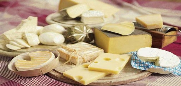 طريقة عمل المش والجبنة الرومي واللبن الرائب