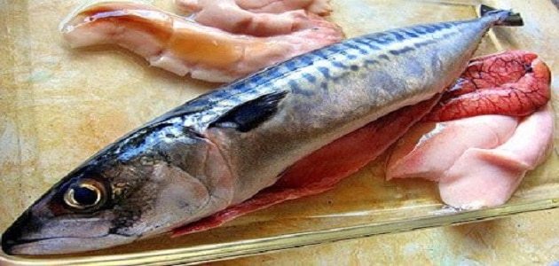 طريقة عمل بطارخ السمك الماكريل والبوري
