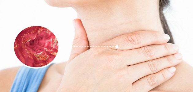 علاج إلتهاب المريء بالعسل والحبة السوداء
