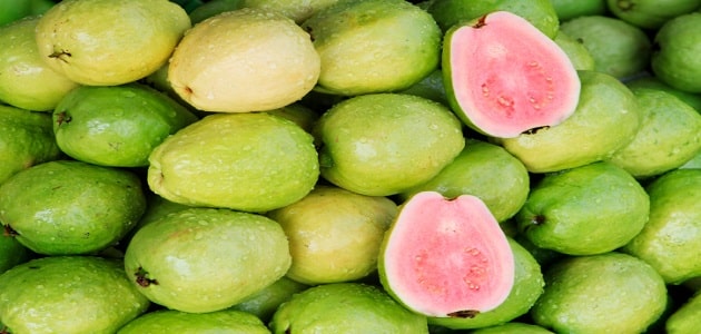 فوائد الجوافة و أضرارها على المعدة