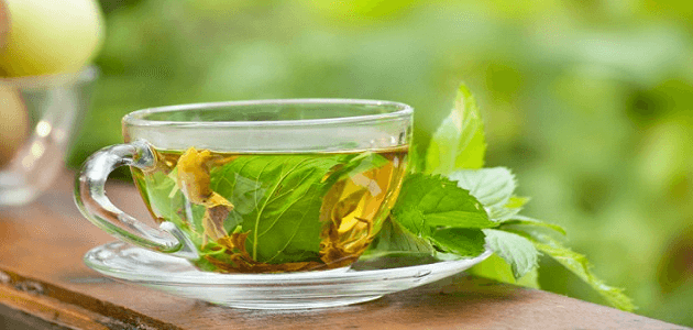 فوائد وأضرار الشاي الأخضر على الريق