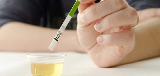 متى تبدأ إفرازات الحمل بالظهور وكيفية معرفتها؟