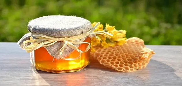 علاج التهاب الشعب الهوائية بالعسل