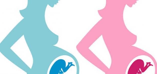 متى يتم تحديد نوع الجنين في اي اسبوع