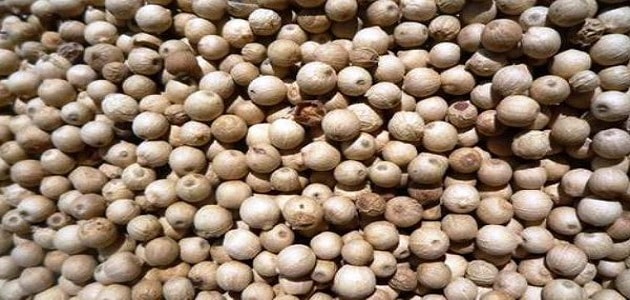 استخدامات الفلفل الأبيض في الطبخ