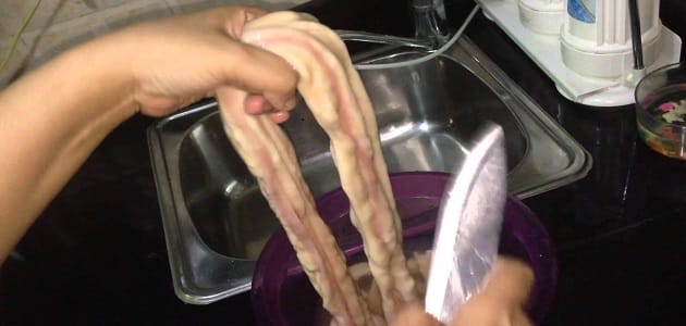طريقة تنظيف الممبار المصرى بالصور والخطوات