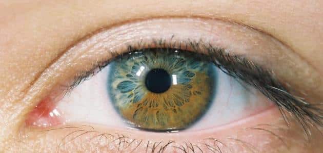 علاج مشكلة كسل العين والخمول عند الكبار