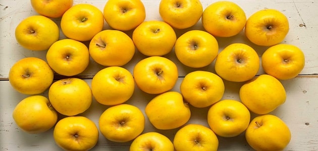 فوائد التفاح الأصفر في الرجيم