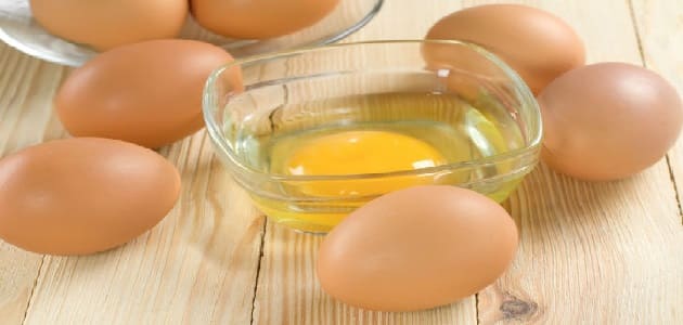 فوائد تناول البيض للشعر والجسم