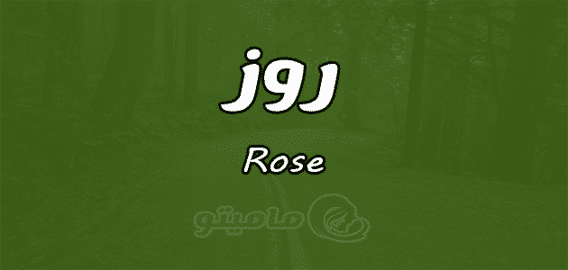 معنى اسم روز Rose وشخصيتها في علم النفس