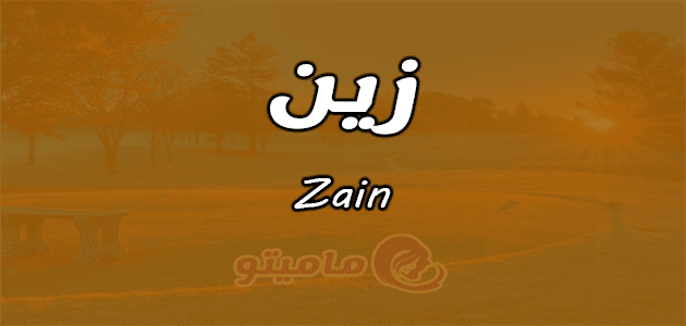 معنى اسم زين