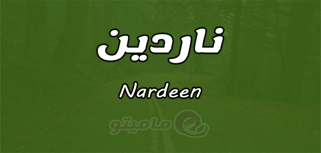 معنى اسم ناردين Nardeen وشخصيتها حسب علم النفس