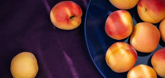 فوائد المشمش المجفف لبشرة المرأة