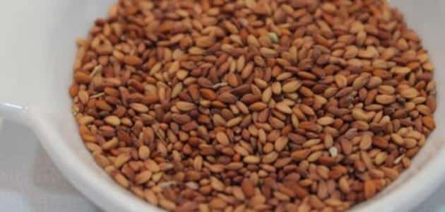 فوائد حب الرشاد للعظام والمفاصل وكيفية استخدامه