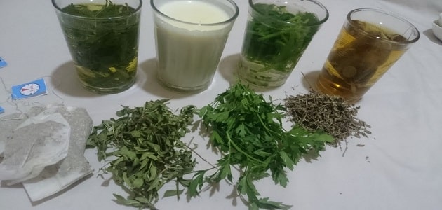 كيفية إستخدام مطهر معوي طبيعي للكبار في البيت