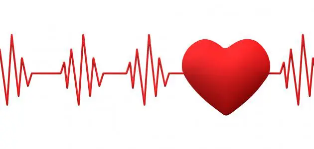 ما هو المعدل الطبيعي لضربات القلب عند الرجال والنساء