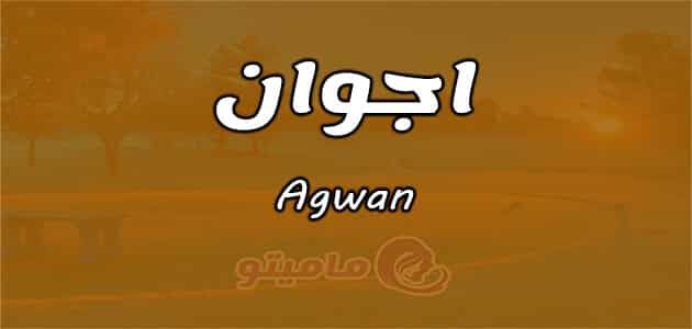 معنى اسم أجوان
