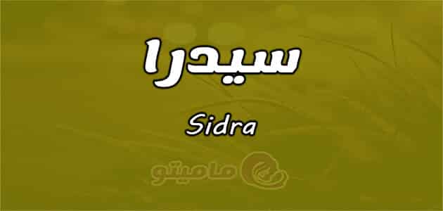 معنى اسم سيدرا Sidra وصفات حاملة الاسم