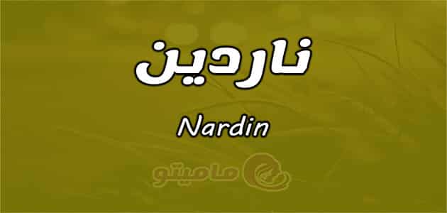 معنى اسم ناردين